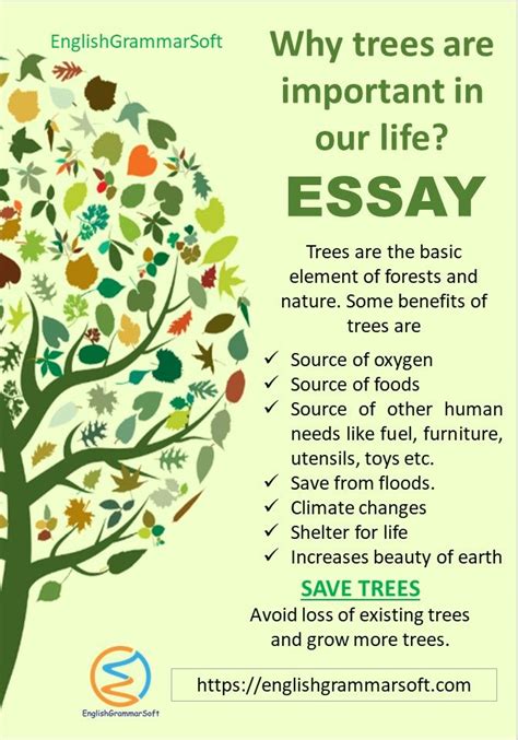 Essay On Why Trees Are Important In Our Life Tree Essay Importance