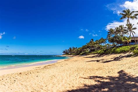 10 Things You Can Only Do In The Summer In Hawaiʻi Hawaii Magazine
