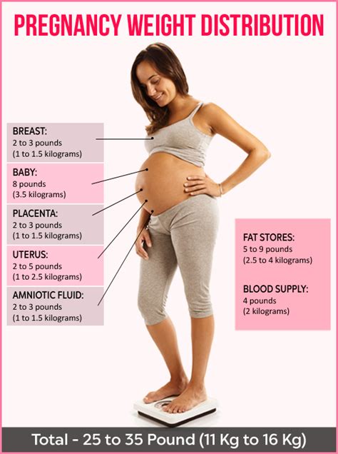 How Much Weight Gain In Pregnancy Calculator Beauty Clog