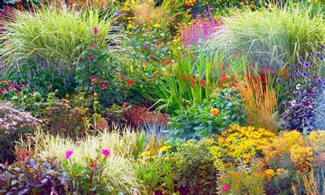 Curving borders, like this one in ralph hasting's whidbey island, washington, garden, are more interesting ― and more complementary with casual landscapes. 5 1L Perennial Border Plants | Groupon Goods