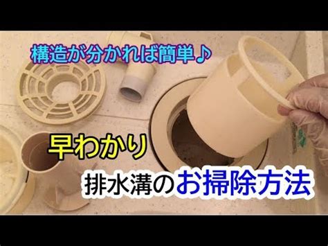 Doujin music | 同人音楽 8 янв 2015 в 18:38. 【早わかり】排水トラップの外し方とお掃除方法☆ - YouTube