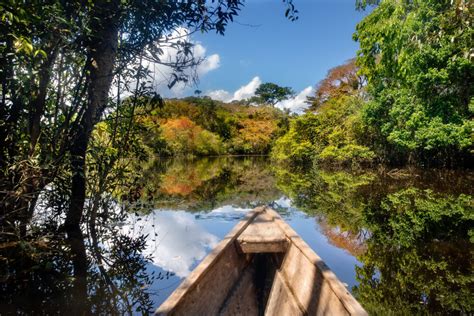Todo Lo Que Debes Saber De La Amazonía Boliviana Mi Viaje