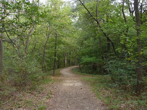 Fileforest Path On Anna Hill Törökbálint Wikimedia Commons
