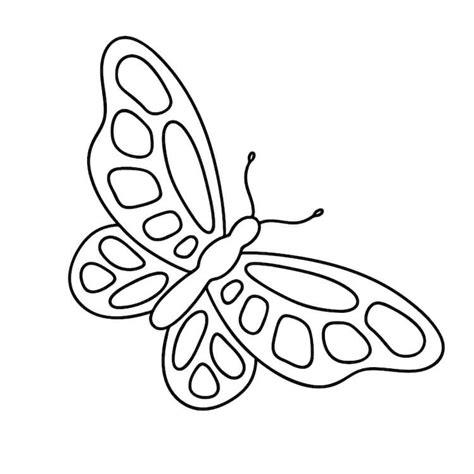 70 Wonderful Butterfly Drawing Ideas Beautiful Dawn Designs