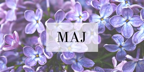 Pronounced maːj) is a romantic poem by karel hynek mácha in four cantos. Maj w ogrodzie - Kalendarz Prac Ogrodniczych