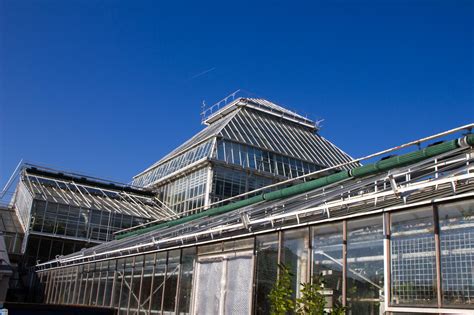 Blütenpracht im frühling im botanischen garten. Botanischer Garten München - alle Infos auf einen Blick