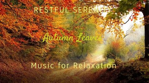 Calming Relaxing Music For Autumn Or Anytime Youtube