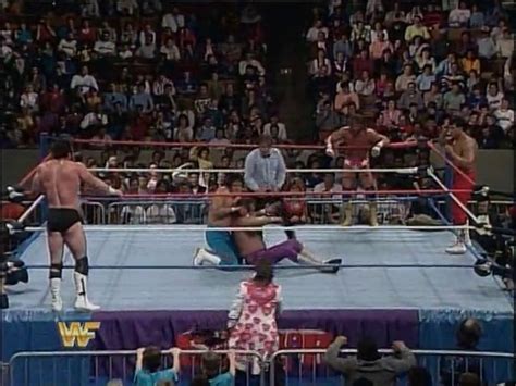 WWF Survivor Series 1987  Team Savage Vs. Team Honky  video Dailymotion