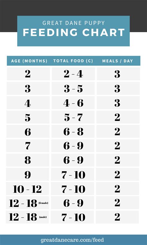 Feeding Chart For Great Dane Puppies