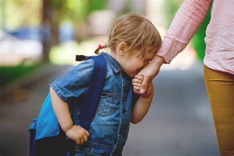 Mi Hijo No Quiere Ir Al Colegio ¿por Qué Y Qué Hago La Mente Es