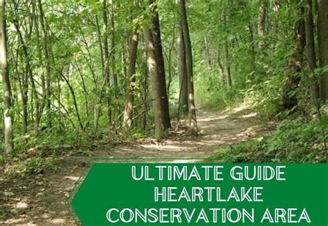 Ultimate Guide To Heart Lake Conservation Area In Brampton 2024