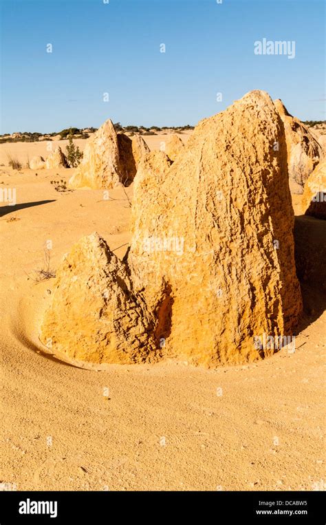 The Pinnacles Nambung National Park Near Cervantes Western Australia