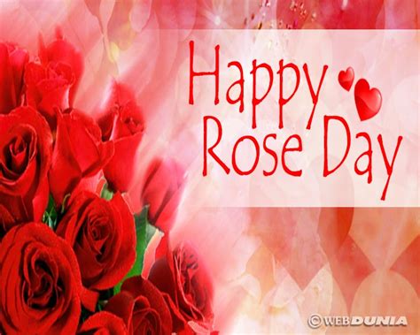 Rose Day Special ‘गुलाब का हर रंग आपकी बात अपने प्रिय तक पहुंचाएगा