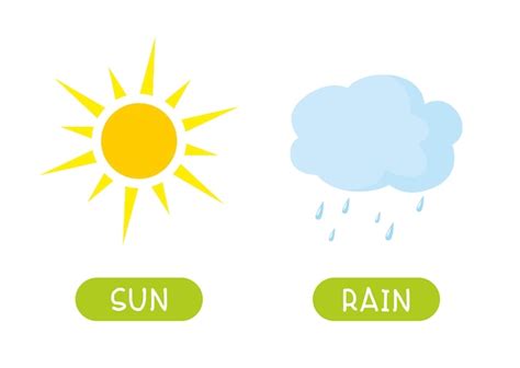 Premium Vector Antonyms Concept Sun And Rain Educational Flash Card