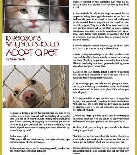 10 Reasons Why You Should Adopt A Pet The Eden Magazine