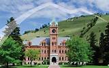 University Of Montana Alumni Directory