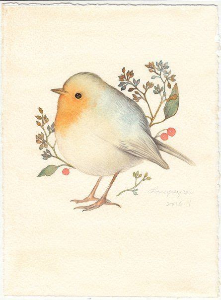 Диалоги Bird Drawings Cute Drawings Painting And Drawing Watercolor