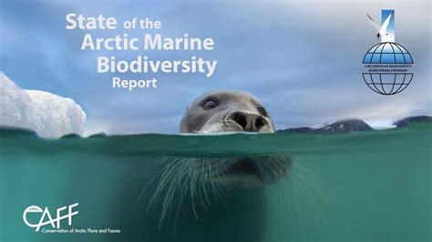 State Of The Arctic Marine Biodiversity Report Caff Youtube