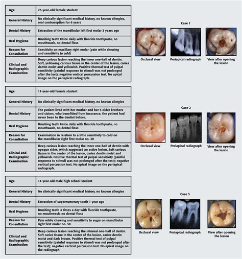 General Dentists Pediatric Dentists And Endodontists Diagnostic