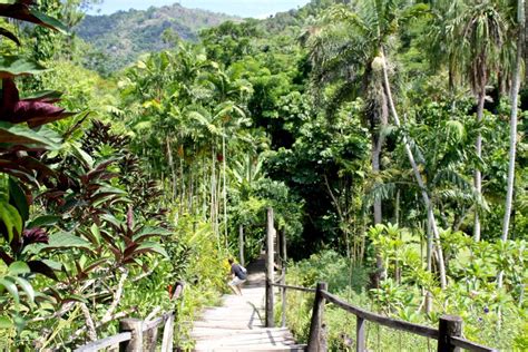 Garden Of The Sleeping Giant Fiji Must Do On Nadi Island