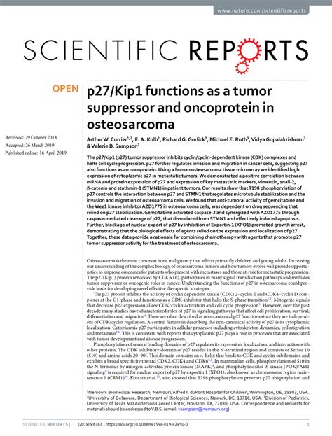 pdf p27 kip1 functions as a tumor suppressor and oncoprotein in osteosarcoma
