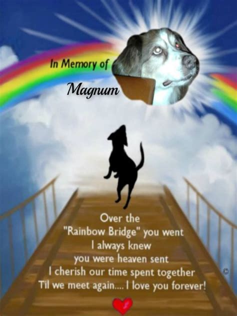 Noted for its simple structure and language, it describes joy felt at viewing a rainbow. Pin by The Healing Lotus on My Fur Family | Rainbow bridge ...