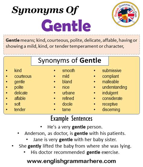 Synonyms Of Gentle Gentle Synonyms Words List Meaning And Example