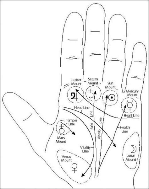 Palmistry Begins With The Obvious And Proceeds By Innumerable