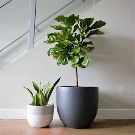 Get your garden on with over 1,200 styles of pots and planters for both indoors and out. Matte Grey Planter | Pot | Indoor & Outdoor Modern ...
