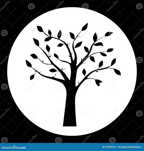 Black And White Vector Illustration Of Tree Silhouette Stock
