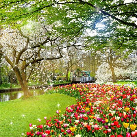 collection 95 pictures beautiful wallpapers of flower gardens excellent