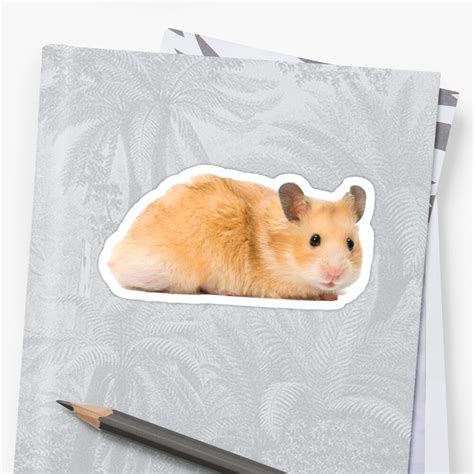 Hamster Sticker By Saraedwards55 Redbubble