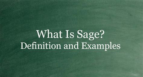 What Is Sage Definition And Usage Of This Term Philnews