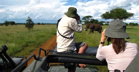 Wildlife Safaris In Africa Visiting The Untamed Paradise