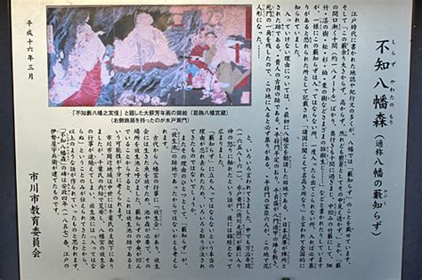 The website collected by this website comes. 超魔界帝国の逆襲 : 八幡の藪知らず～入った者は二度と出られ ...