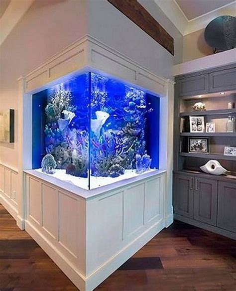 Rooms With Stunning Aquariums A Trend In