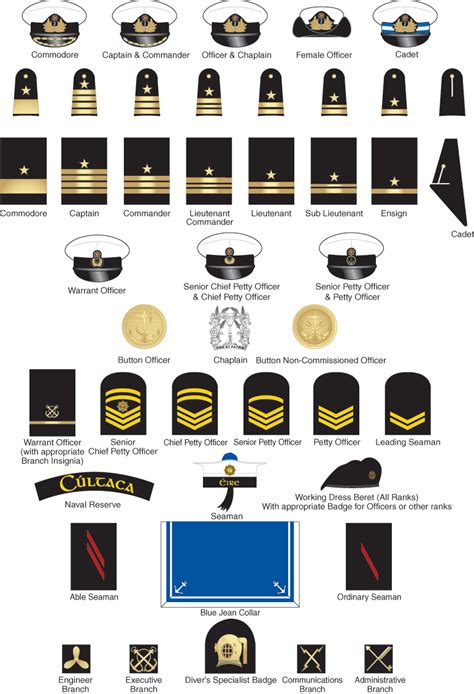 Navy Military Insignia For Rank And Affiliation
