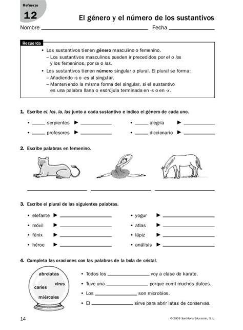 Refuerzo Y Ampliación Lenguaje 5º Ejercicios De Sustantivos