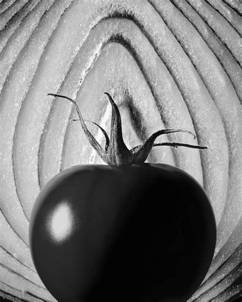 Nominee In The Still Life Category For The Black And White Spider
