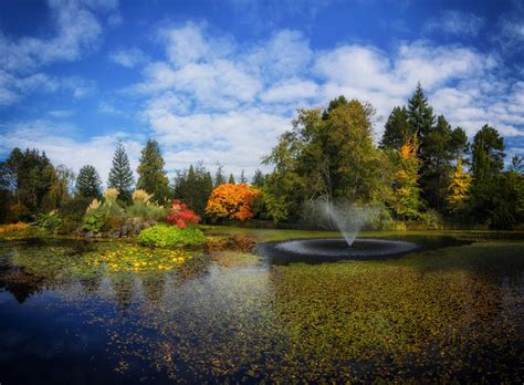 Autumn Colour Is Beginning At Vandusen Gardens Vandusen Bo Flickr