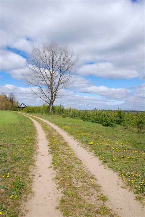 Country Road Stock Image Image Of Backdrop Park Meadow 2075115