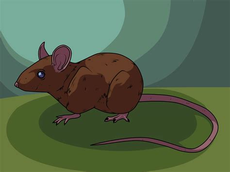 3 Ways To Draw A Mouse Wikihow