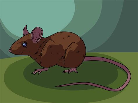 Maybe you would like to learn more about one of these? 3 Ways to Draw a Mouse - wikiHow
