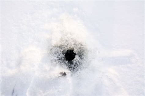 Hole In The Ice Covered Snow Stock Photo Image Of Oven Pure 74765180
