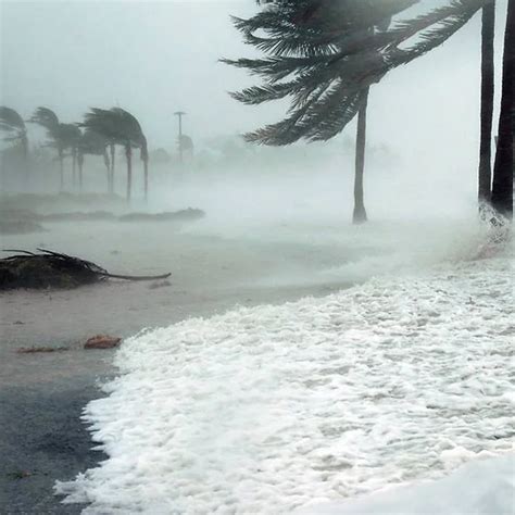 5 Steps To Claiming Insurance For Storm Damage