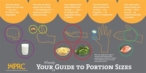 Your Handy Guide To Portion Sizes Hprc