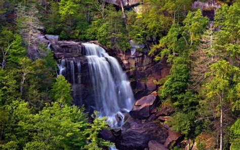 Wallpaper River Falls Wood Bright Vegetation Stream 2560x1600
