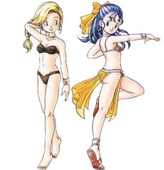 Robust Lingerie Dragon Quest Wiki