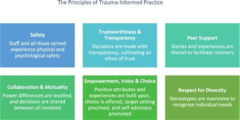 The Principles Of Trauma Informed Practice Adapted From Samhsa 2014