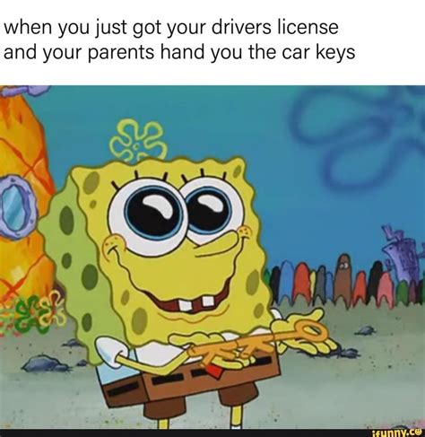Spongebob Drivers License Meme Princess Blunt
